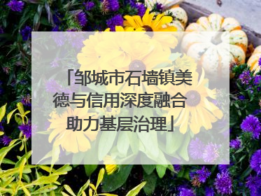 邹城市石墙镇美德与信用深度融合助力基层治理